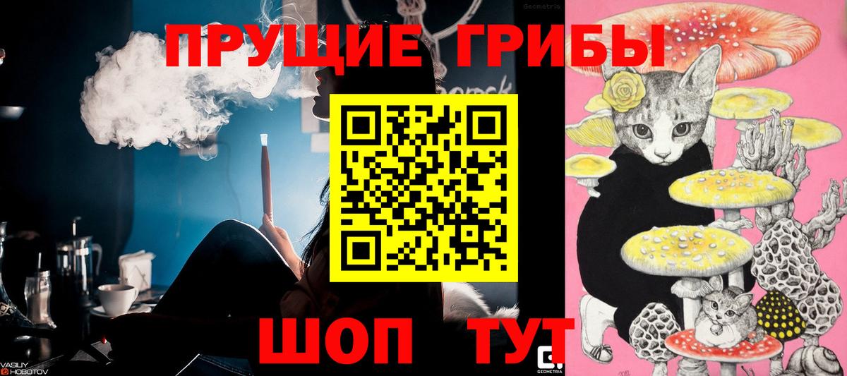 Сыктывкар  Галлюциногенные грибы Cubensis  где купить   Вход с VPN 