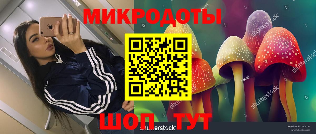 Галлюциногенные грибы GOLDEN TEACHER Сыктывкар